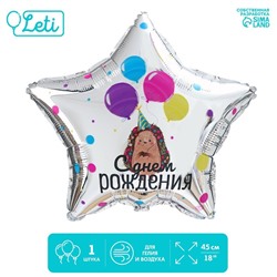 Фольгированный шар 18" «С днём рождения», ёжик, звезда