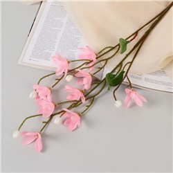 Цветы искусственные «Белоцветник шелковый», 74×4 см, розовые