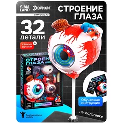 Набор для опытов «Строение глаза», анатомическая модель