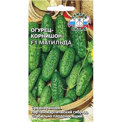 Семена Огурец Матильда корнишон F1, арт.: 2189
