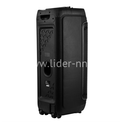 Колонка 10" (30-30 DANCE BOX 1300 NEW) динамик 2шт/10" ELTRONIC с TWS