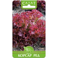 Салат Корсар Ред