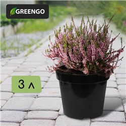 Горшок для рассады, 3 л, d=19 см, h=15 см, пластик, чёрный, Greengo