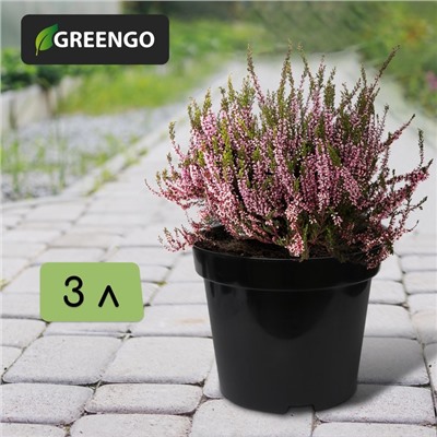 Горшок для рассады, 3 л, d=19 см, h=15 см, пластик, чёрный, Greengo