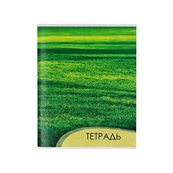 Тетрадь 96 листов в клетку Calligrata «Текстура 2», обложка мелованный картон, блок офсет, МИКС