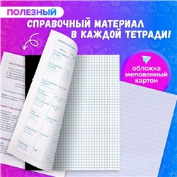 Набор предметных тетрадей 48 листов, Calligrata «Кеды», 12 предметов