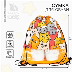 Мешок для обуви «Котики» с прозрачным окном 41×30 см