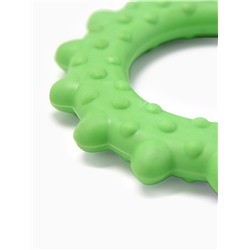 Игрушка жевательная "Кольцо с шипами", TPR, 8,5 см, зелёная
