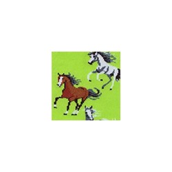 Носки женские 21С4200 163 Брестские Pets Conte [6шт] Дроп