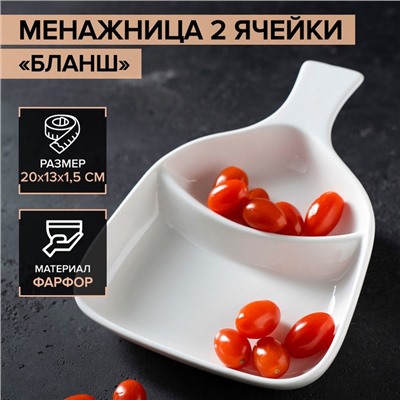 Менажница Magistro «Бланш», 26×19×4 см, 2 ячейки, фарфор, белая