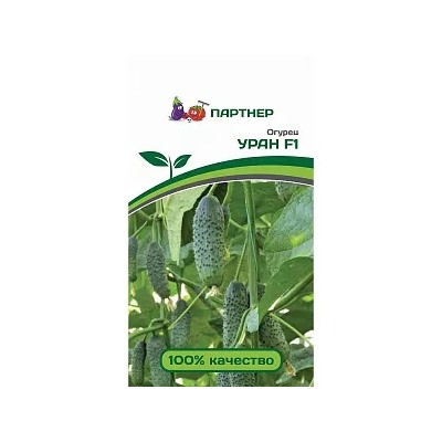 Семена Огурец Уран F1, арт.: 8570