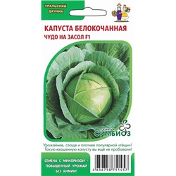 Семена Капуста белокочанная Чудо на засол F1, арт.: 73639
