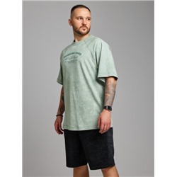 Футболка мужская, Viotex, Сидней-5 оптом