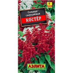 Семена Сальвия Костер, арт.: 71432