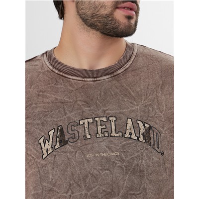 СВИТШОТ МУЖСКОЙ 121801/1