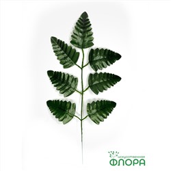 Лист Папоротника «Орляк» (упаковка 20 штук) (500-3)
