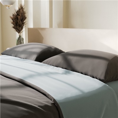 Постельное бельё Этель 2 сп Lightness 180х215 см, 200х225 см, 50х70± 3 см-2 шт, новосатин
