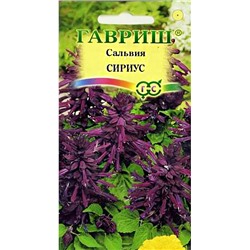 Семена Сальвия Сириус, арт.: 8404