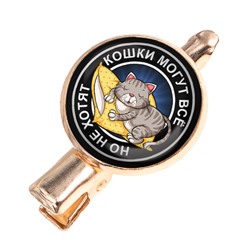 HZF-0115 Заколка Кошки могут всё