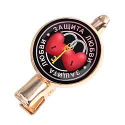 HZF-0038 Заколка Защита любви