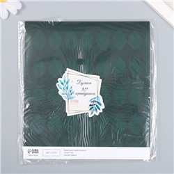 Бумага для скрапбукинга "Листочки" плотность 180 гр 15,5х17 см