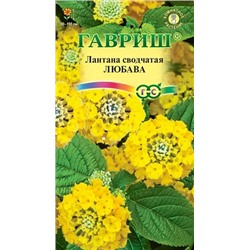 Семена Лантана сводчатая Любава, арт.: 9793