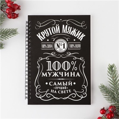 Ежедневник А5, 60 листов, недатированный, в подарочной коробке «Новый год: Хозяину жизни»