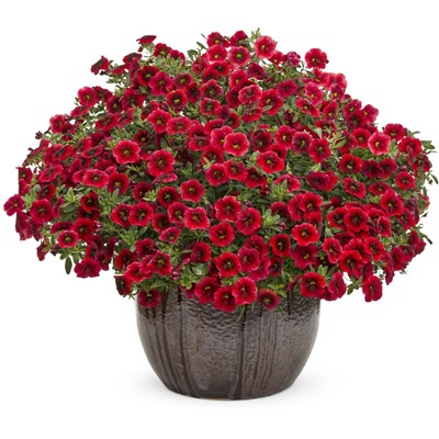 Набор калибрахоа №2