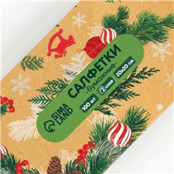 Салфетки бумажные в коробке «Новый год! Зимний уют», 100 шт., двухслойные