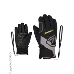 Skihandschuhe