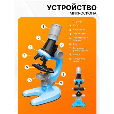 Микроскоп детский «Юный ботаник», кратность х100, х400, х1200, подсветка