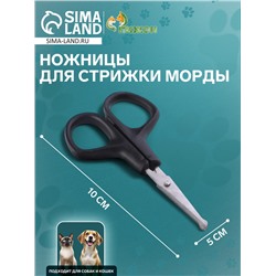 Ножницы для стрижки морды, 10 Х 5 см, микс