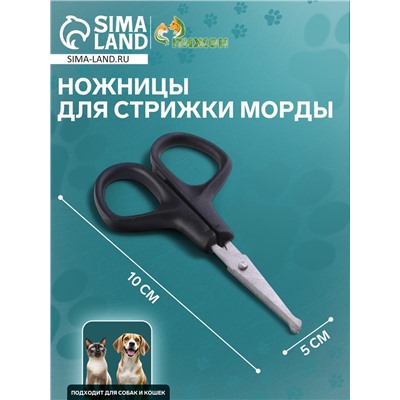 Ножницы для стрижки морды, 10 Х 5 см, микс