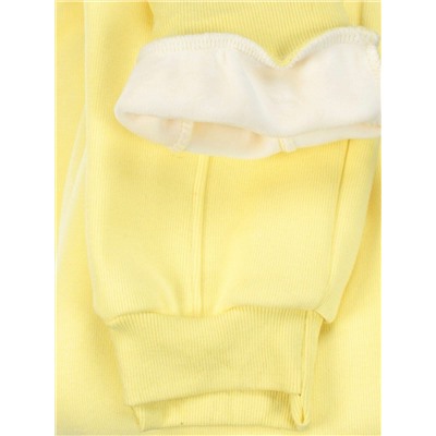 07 YELLOW Брюки спортивные женские на флисе (100% хлопок) 7986