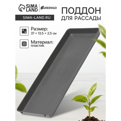 Поддон для рассады, 37 × 13 × 2,5 см, пластик, серый