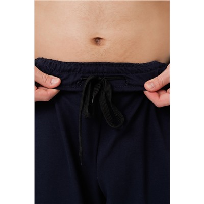 Брюки мужские 21-343M3-WB т.синий1