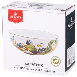 САЛАТНИК AGNESS "УРОЖАЙ" 16,5*6 СМ 800 МЛ (КОР=24ШТ.)