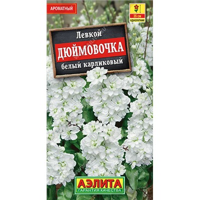 1386 Левкой карликовый Дюймовочка белый 0,1гр