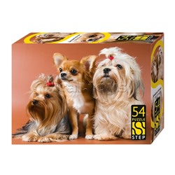 Пазлы 54 "Домашние питомцы"