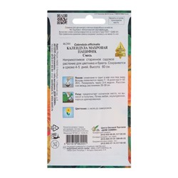 Семена цветов Календула «Пацифик», «Дом семян», смесь, однолетник, 20 шт.