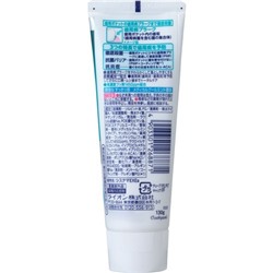 Зубная паста Dental Systema EX для профилактики болезней десен (мята), LION 130 г