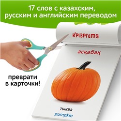 Книга по методике Г. Домана «Овощи», на казахском языке