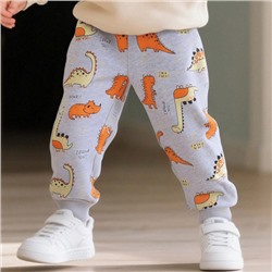 Спортивные штаны Aosta Betty