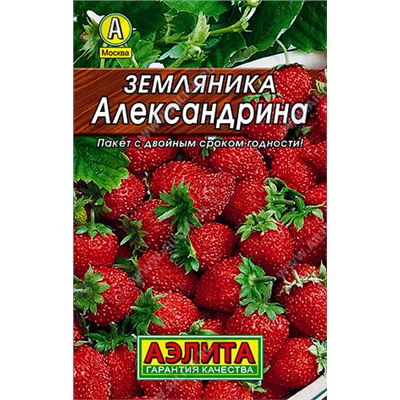 0019 Земляника Александрина 0,1гр