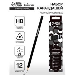Набор карандашей чернографитных 12 штук, Calligrata Classic, заточенные, пластик, трехгранные, черные