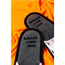 Тапки Опасный кот мужские
