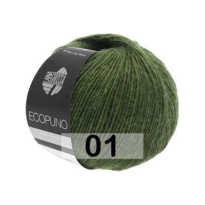 Пряжа Lana Grossa ECOPUNO
