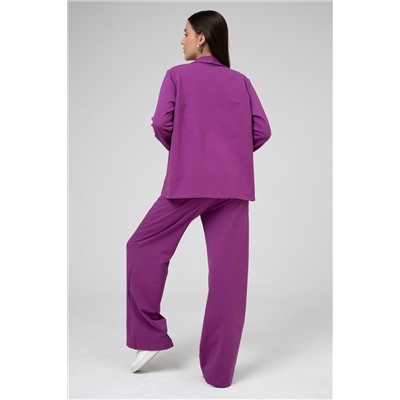 Брюки женские 25-481L3-44 яр.сливовый