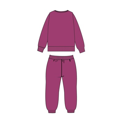 Комплект для девочки: толстовка, брюки