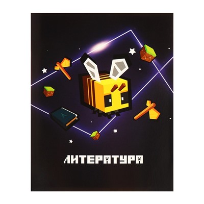 Набор предметных тетрадей А5, 36 листов Сalligrata «Пиксели», 10 предметов